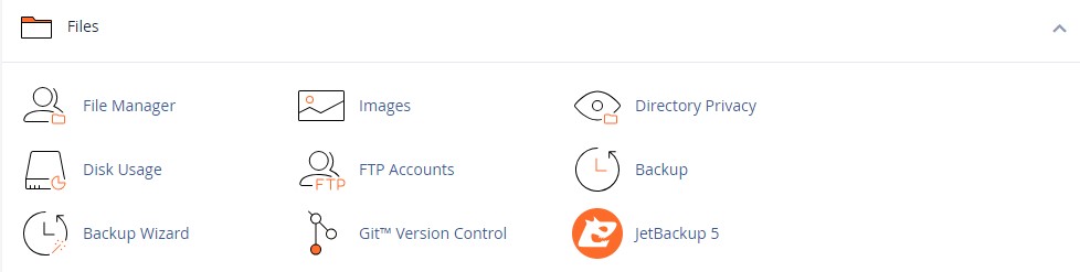 cPanel File Section