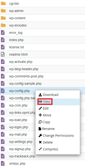 View WP Config 