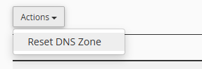 Zone Editor reset DNS zone