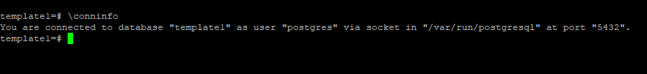 Postgres connection information command shown in PuTTY