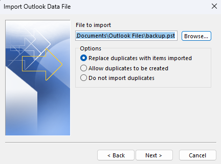 Outlook import file options