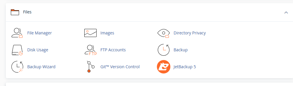 cPanel Files Section