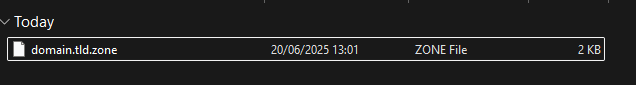Domain Zone File
