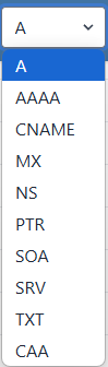 What's My DNS dropdown menu