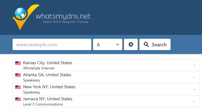 What's My DNS main page