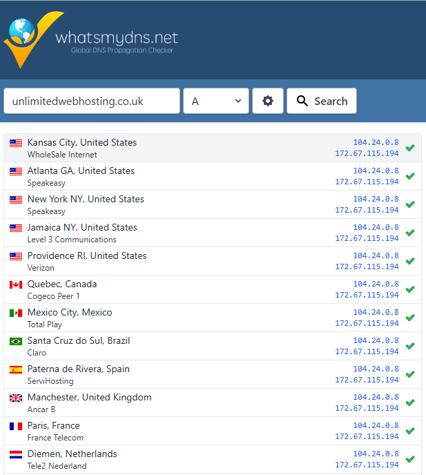 What's My DNS Query Results