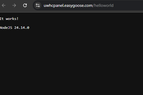 Test New Node.js Application