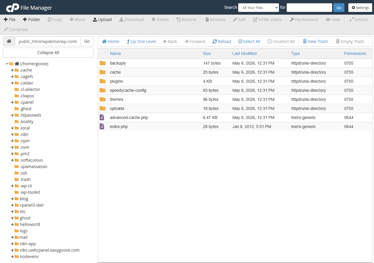 cPanel File Manager displaying debug.log inside the wp-content folder