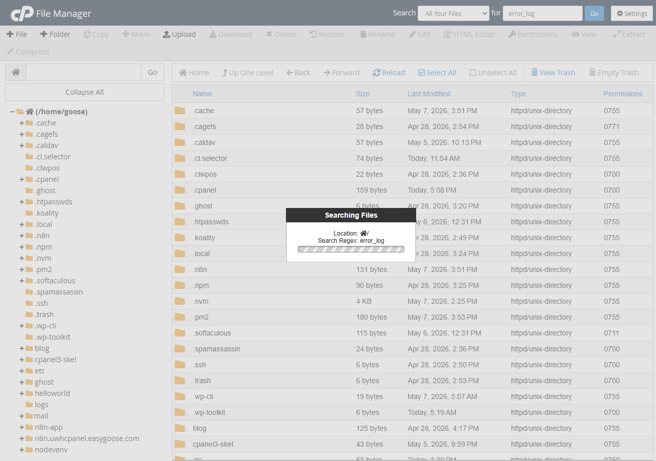 cPanel File Manager showing search results for error_log files across the account