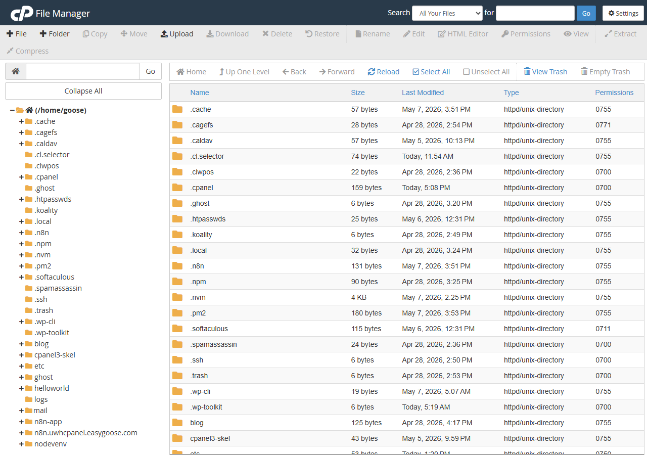 cPanel File Manager with .htaccess file highlighted in the public_html directory