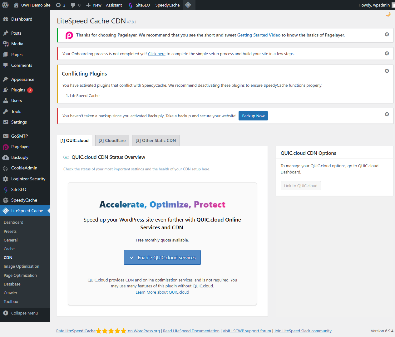 LiteSpeed Cache CDN settings panel with the Enable CDN toggle switched on and CDN URL fields visible