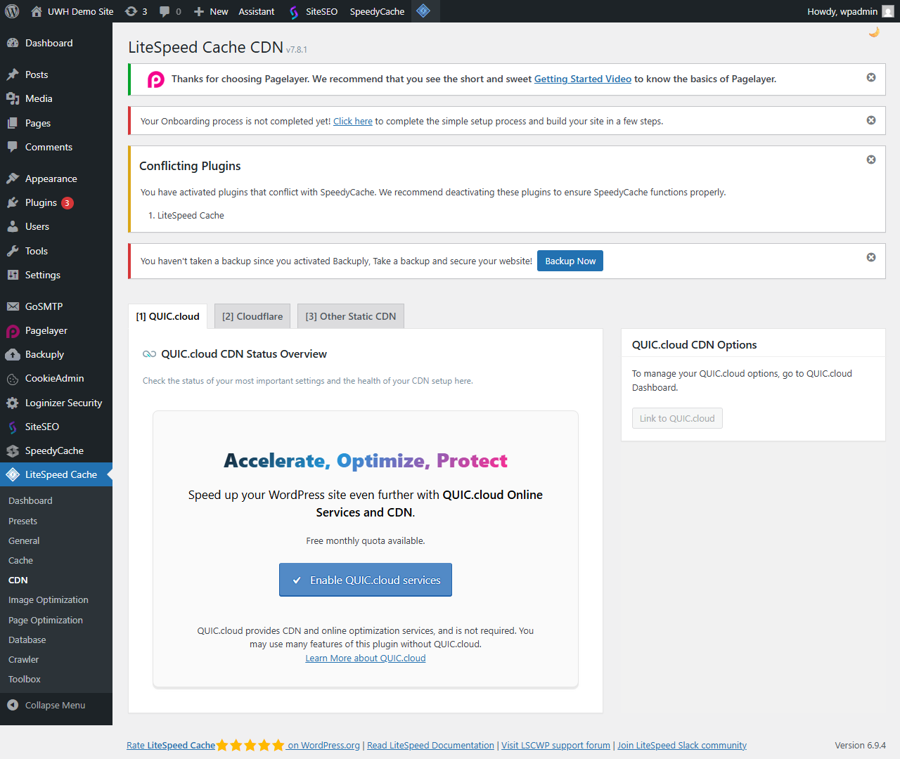 LiteSpeed Cache CDN configuration with CDN URL and Original URL fields completed