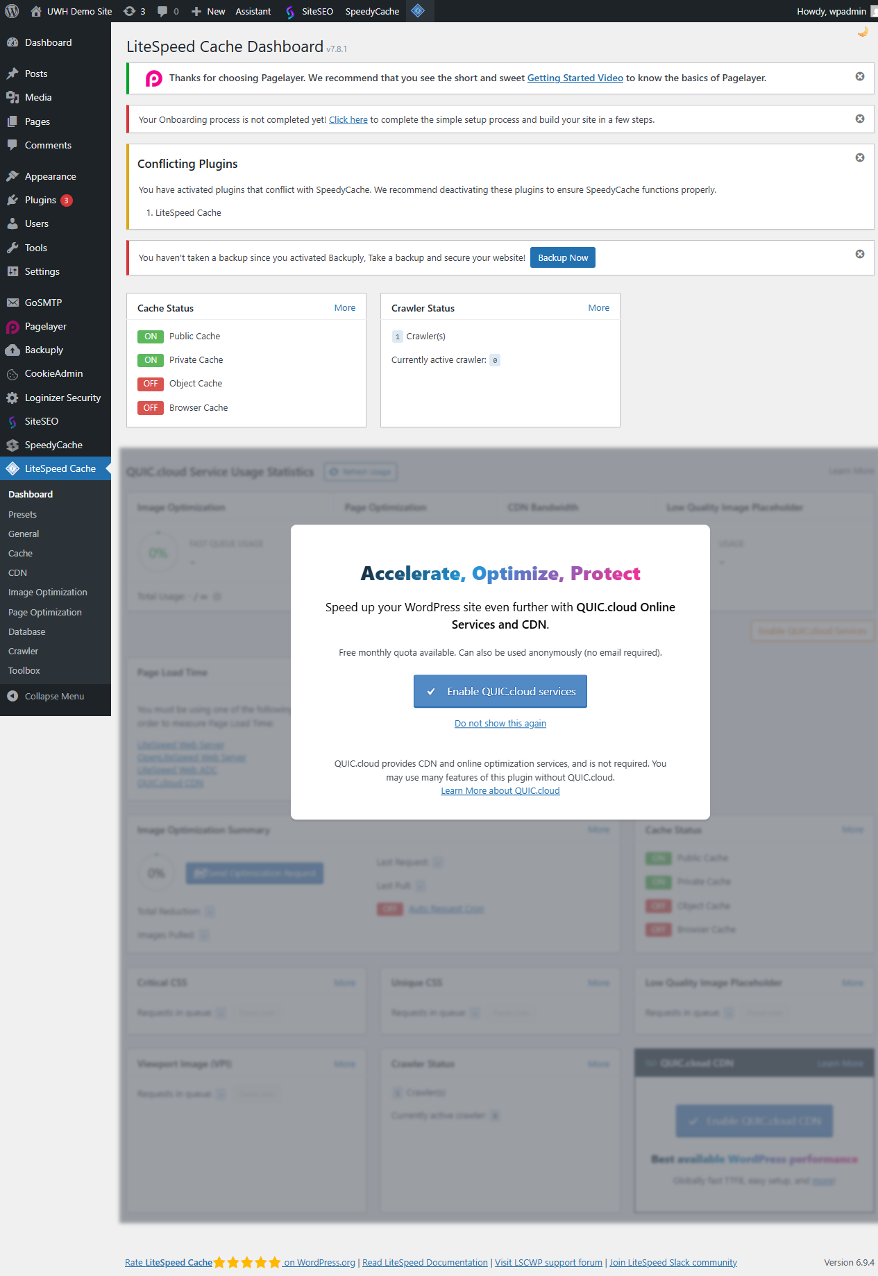 LiteSpeed Cache plugin dashboard showing cache statistics and the Purge All button