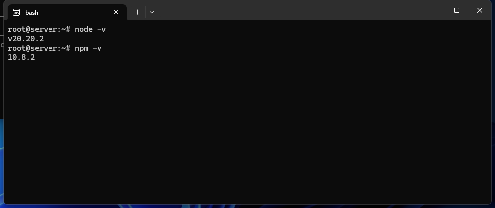 Terminal displaying Node.js and npm version numbers confirming successful installation