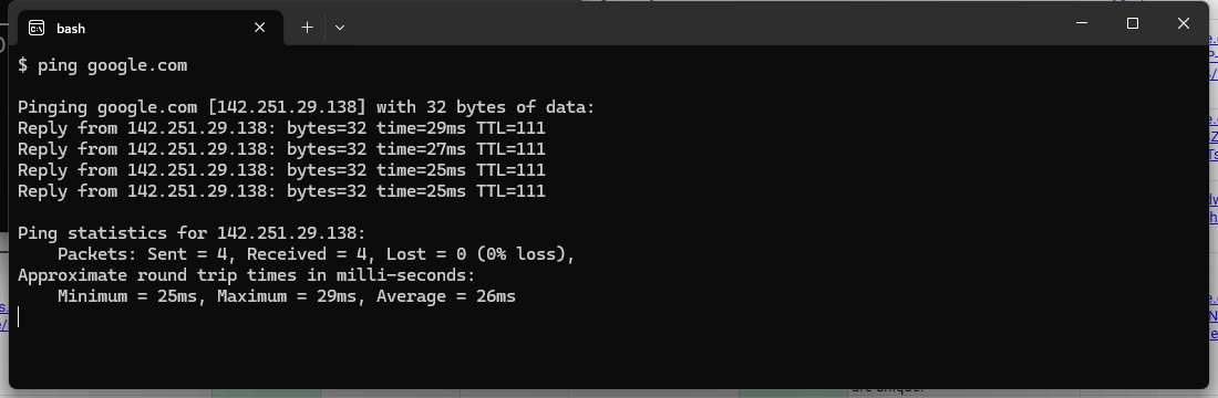 Terminal window showing the ping command being run against a domain name with timeout responses