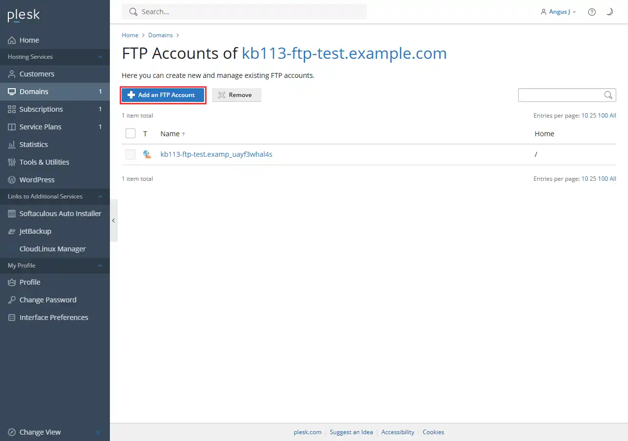 The FTP Accounts of page in Plesk, listing one account, with the Add an FTP Account button outlined in red.