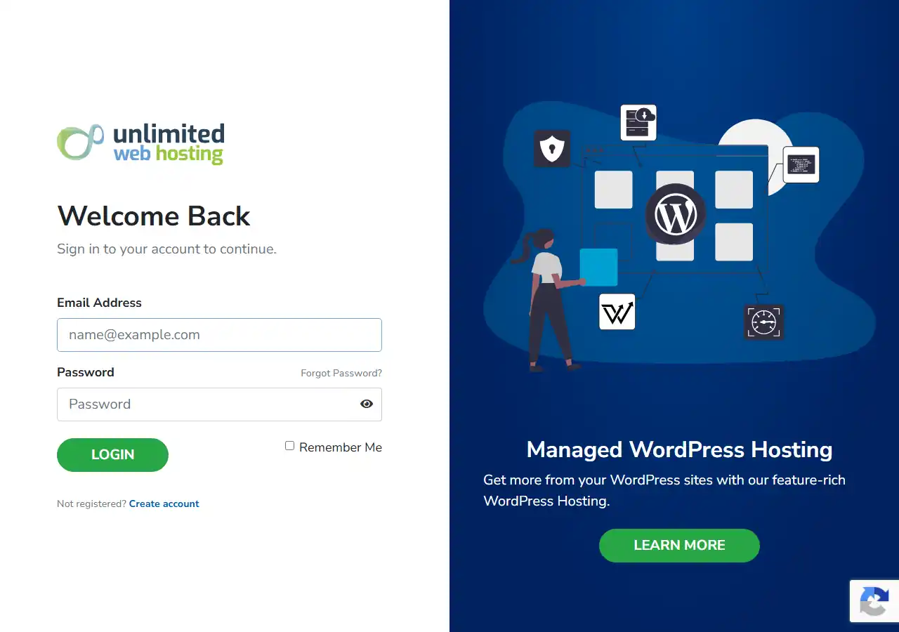 The client area login page, with Email Address and Password fields, a green LOGIN button and a Forgot Password link.